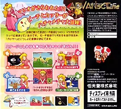 Image n° 2 - boxback : Super Princess Peach